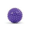 Picture of Mad Fitness: Spikey Massage Ball Small 7cm (FMASSAGES): OUT OF STOCK