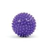 Picture of Mad Fitness: Spikey Massage Ball Small 7cm (FMASSAGES)