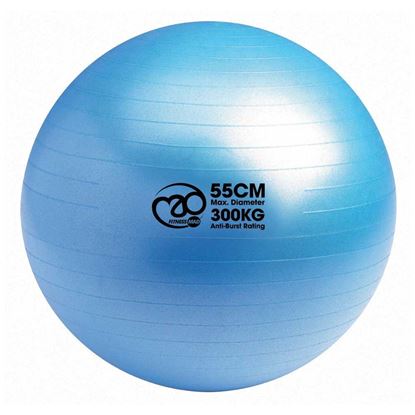 Picture of Mad Fitness: 300Kg Anti-Burst Swiss Ball 55cm - Blue (FBALL55)