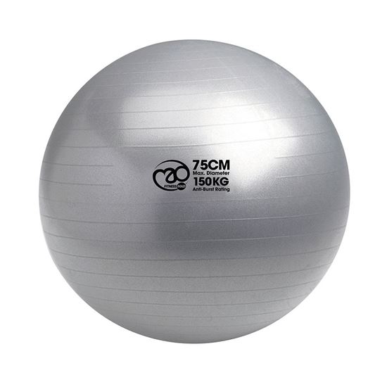 Picture of Mad Fitness: 150Kg Anti-Burst Swiss Ball & Pump - 75cm Silver (FBALL10075)