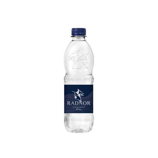 Picture of Radnor Welsh Spring Still Water 500ml Bottle (24 pack)