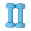 Picture of Mad Fitness: Blue Neoprene 2 KG Dumbbells (Pair) (FDBELL2)