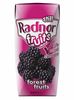 Picture of Radnor Fruit Flavour Spring Still Water 200ml Tetra-pak (24 pack)