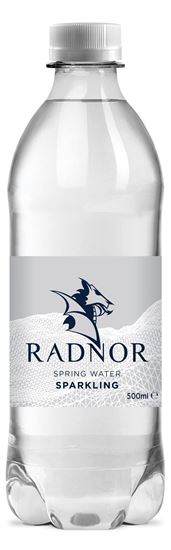 Picture of Radnor Welsh Spring Sparkling Water 500ml Bottle (24 pack)
