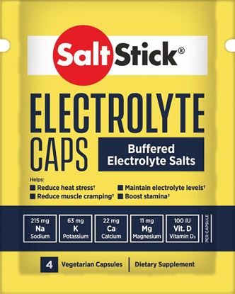 Picture of Salt Stick 4 Capsule Trial Pack Box (24 Packs)