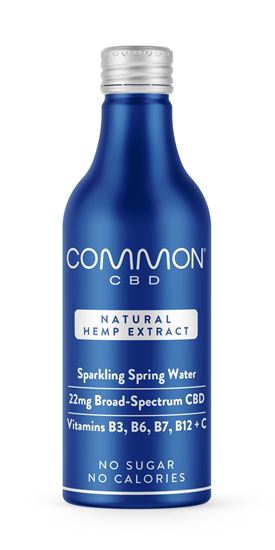 Picture of Common Water Canned CBD infused Spring Water 330ml SAMPLE can