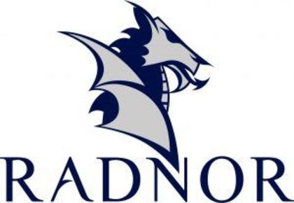 Picture for brand Radnor Water