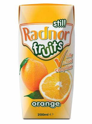 Picture of Radnor Fruit Flavour Spring Still Water 200ml Tetra-pak (24 pack)