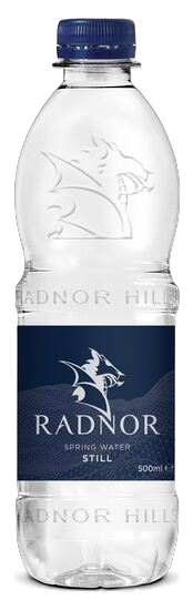 Picture of Radnor Welsh Spring Still Water 500ml Bottle (24 pack)