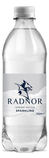 Picture of Radnor Welsh Spring SPARKLING Water 500ml Bottle (24 pack)