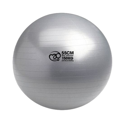Picture of Mad Fitness: 150Kg Anti-Burst Swiss Ball & Pump - 75cm Silver (FBALL10075)
