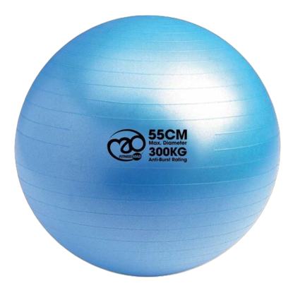 Picture of Mad Fitness: 300Kg Anti-Burst Swiss Ball 65cm - Blue (FBALL65)