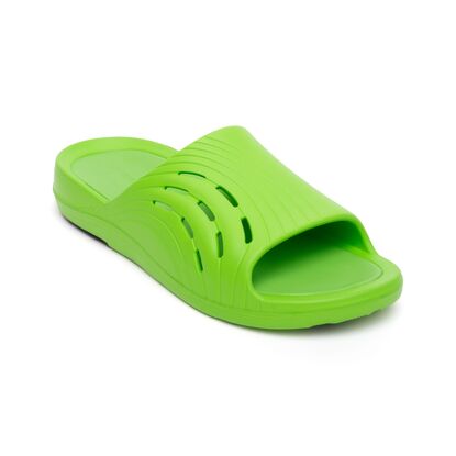 Picture of Enertor Recovery Slides (Green)